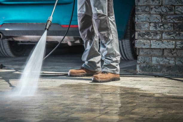 Best Driveway Pressure Washing  in Micco, FL