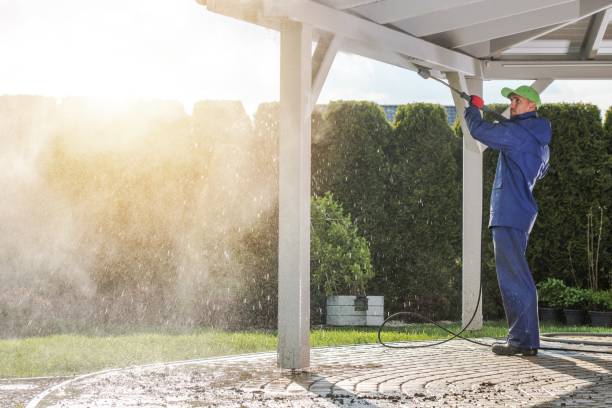 Best Spring Cleaning  in Micco, FL